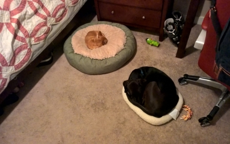 Mommy Has the Best Bed | Imgur.com/paperchazz