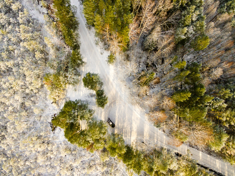 Forest in the Winter | Alamy Stock Photo by Martins Vanags