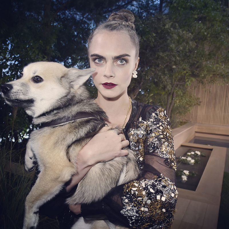 Cara Delevingne | Getty Images Photo by Pascal Le Segretain