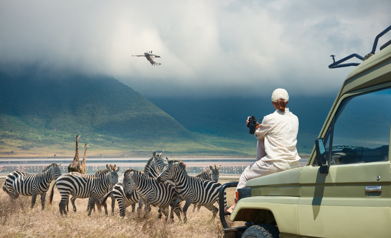  Tanzania | soft_light/Shutterstock