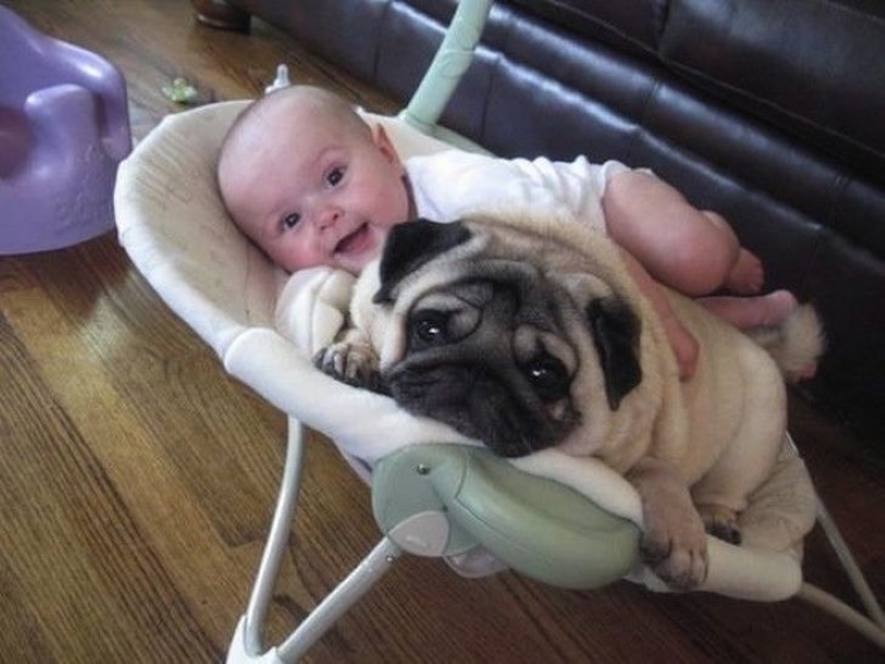 The Sweetest Baby & Their Cuddly Pug | Imgur.com/Xu2CS