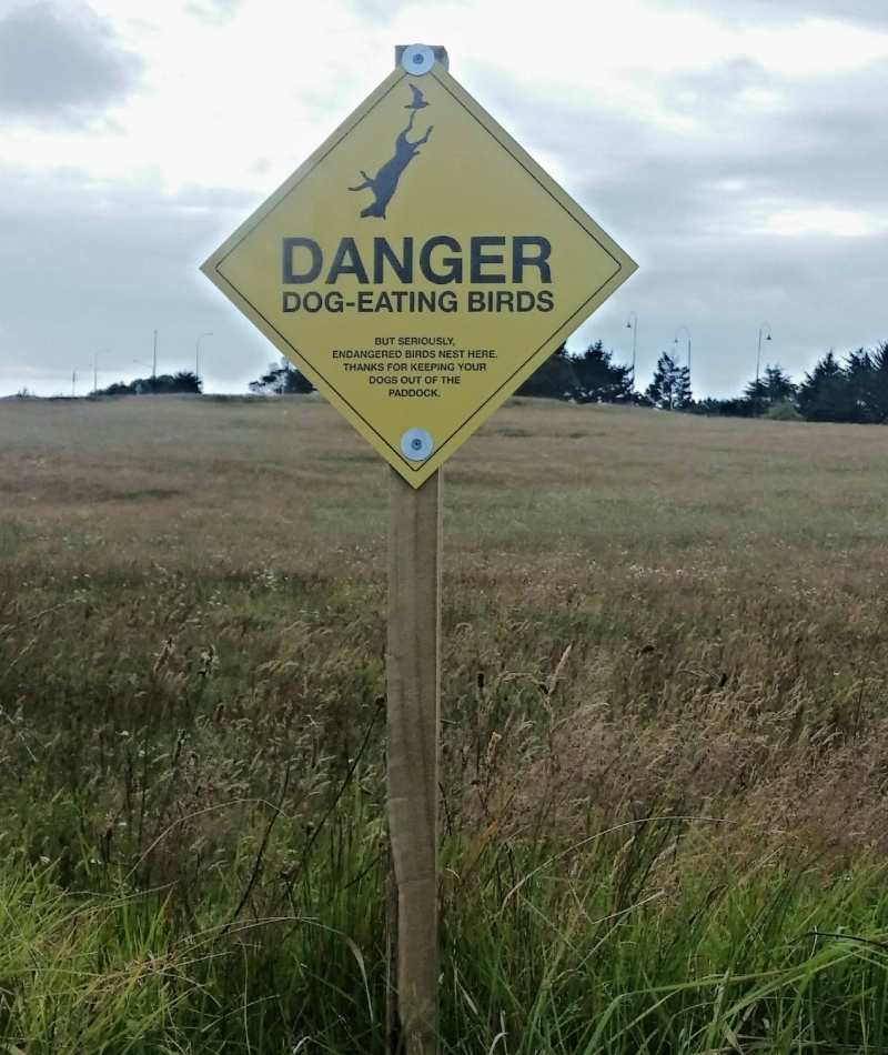 Danger Danger | Imgur.com/uWAM5lU