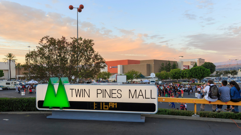 How Many Pines? | Alamy Stock Photo