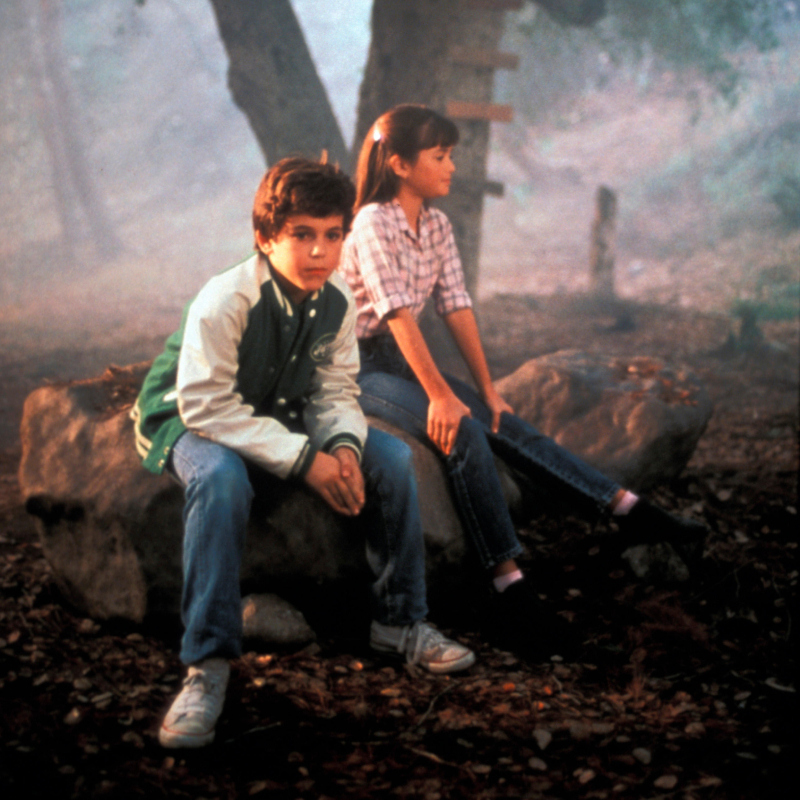 Fred Savage: The Wonder Years | Alamy Stock Photo by PictureLux/The Hollywood Archive