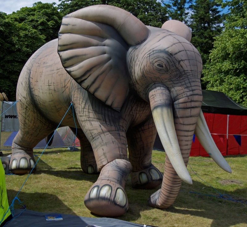 Lifelike Elephant Inflatable | Alamy Stock Photo by John Cairns 