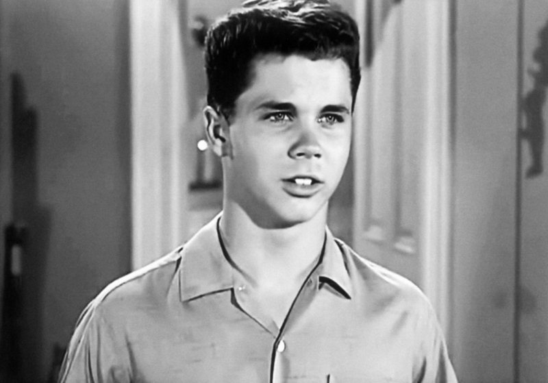 Tony Dow Got Into Acting Completely by Chance | Alamy Stock Photo by Courtesy Everett Collection Inc