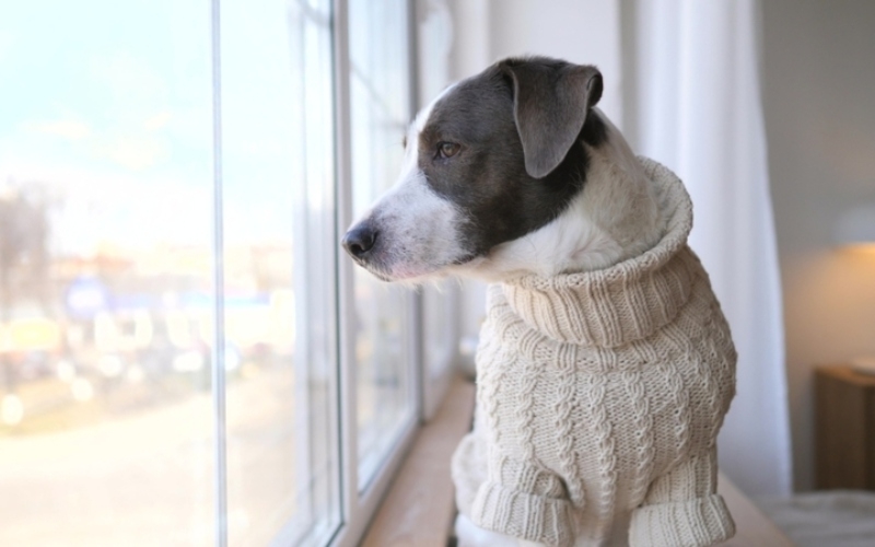Sweater Weather | Adobe Stock