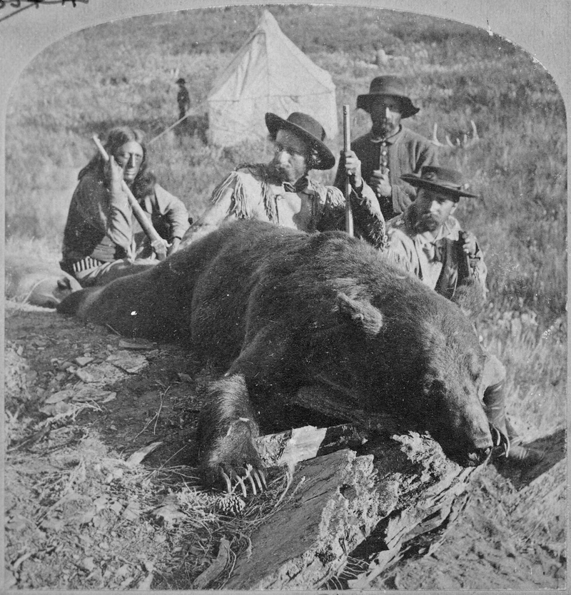 Bear Hunting | Alamy Stock Photo by World Archive 
