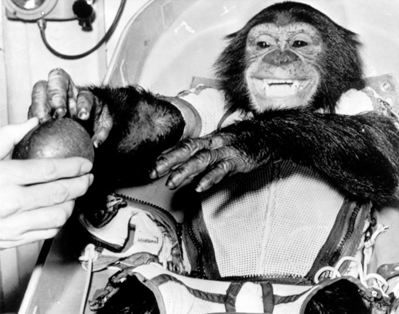 Ham the Chimp | Alamy Stock Photo by Science History Images/Photo Researchers