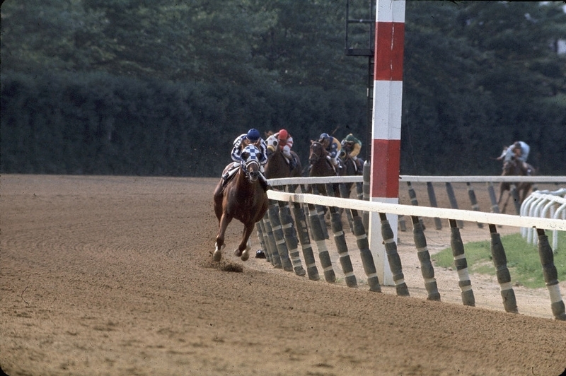 RON TURCOTTE ABOARD SECRETARIAT | Getty Images Photo by Herb Scharfman/Sports Imagery