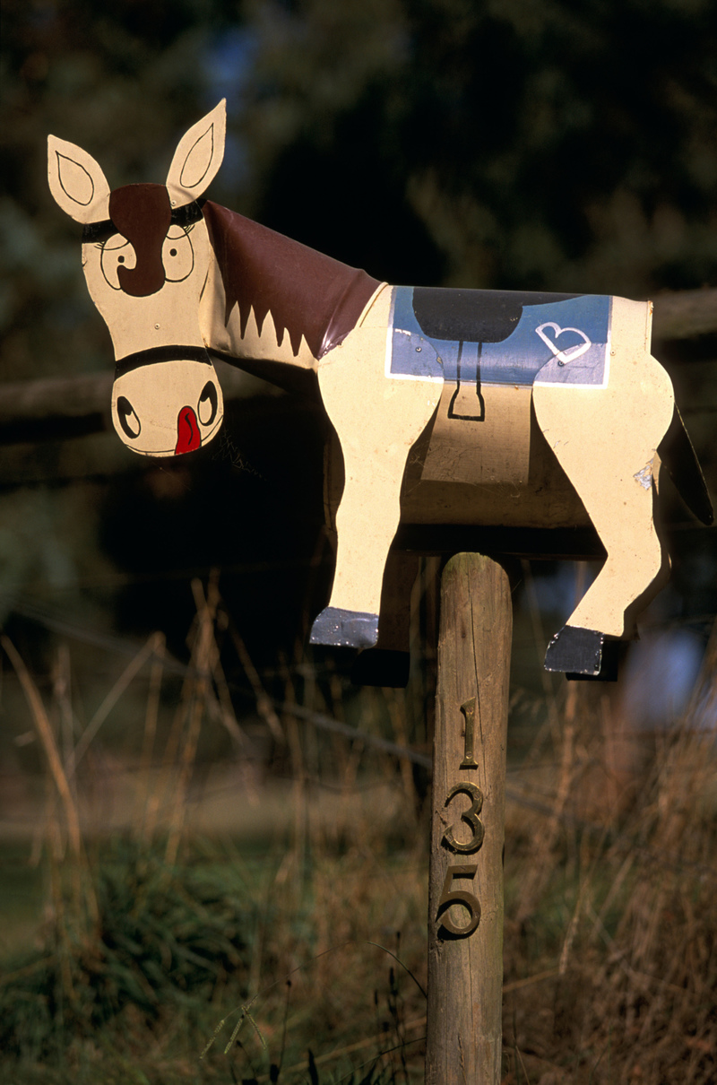 Donkey Box | Alamy Stock Photo