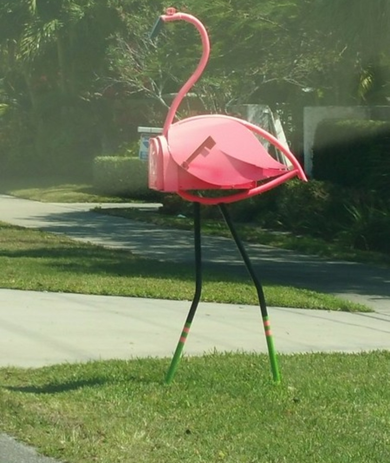 Pink Runaway Flamingo | Flickr Photo by Carol VanHook