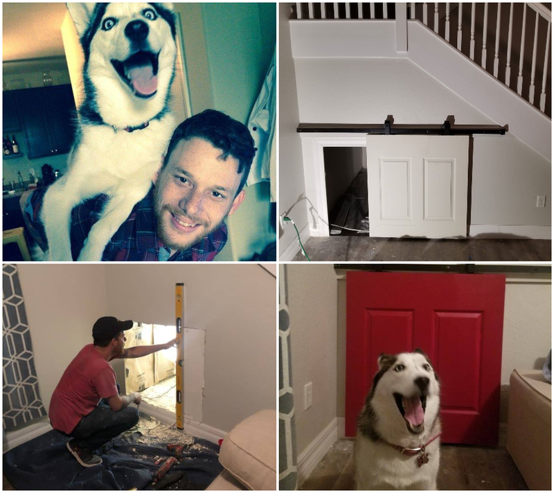 A Room for the Household Dog | Imgur.com/Rootersrevenge