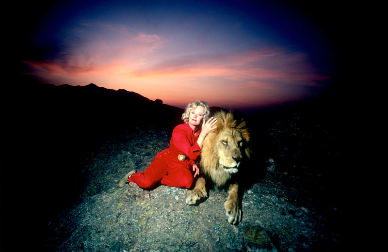 Tippi Hedren's Lion | Getty Images Photo by Paul Harris
