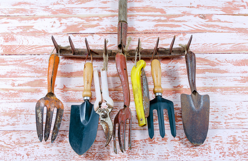 Use Your Garden Rack | Shutterstock
