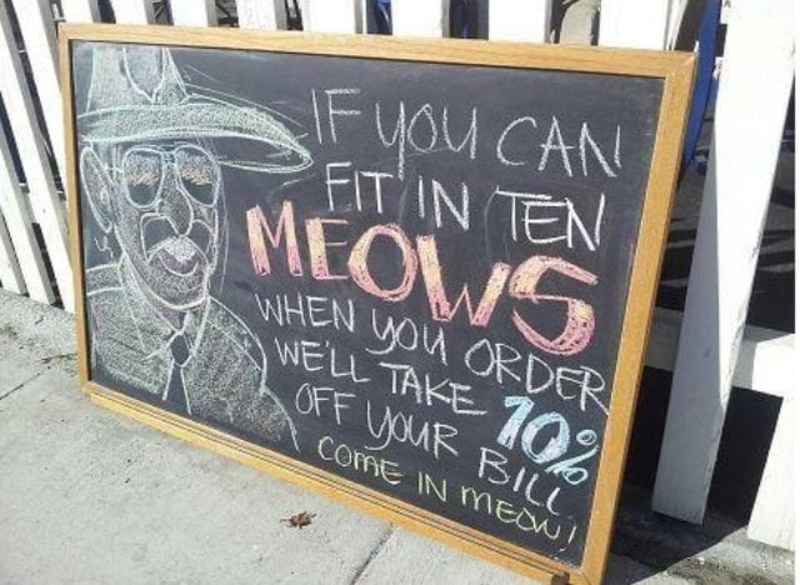 You’ll be Purring Thanks to the Savings | Imgur.com/hrrSK