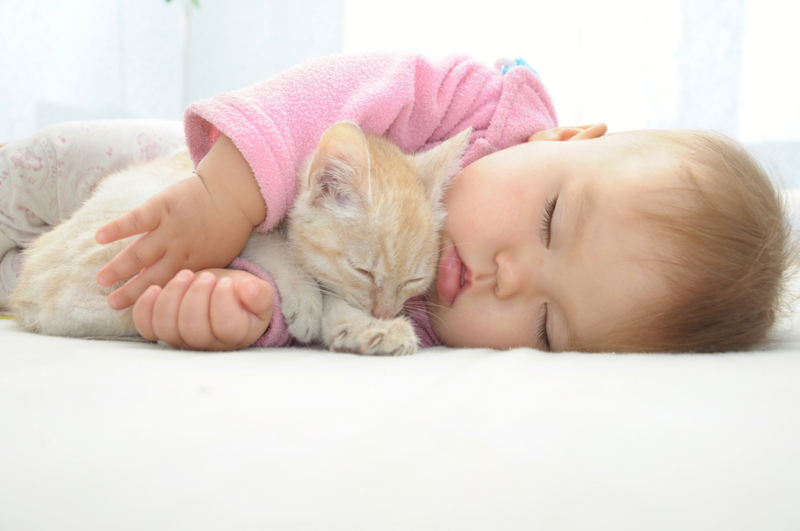 Tuckered Out | Shutterstock