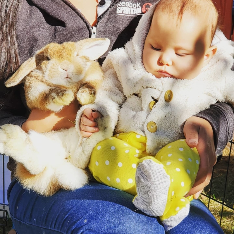 Bunny Friend | Instagram/@dingetjeandflappie