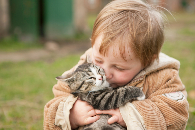The Best Kind of Hugs and Kisses | Alamy Stock Photo