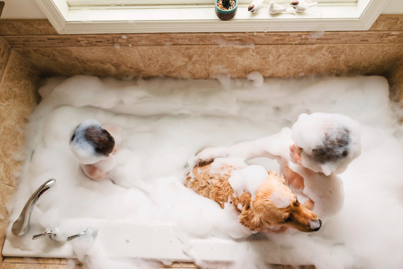 Bubble Trouble | Alamy Stock Photo by Elizabethsalleebauer/RooM the Agency 