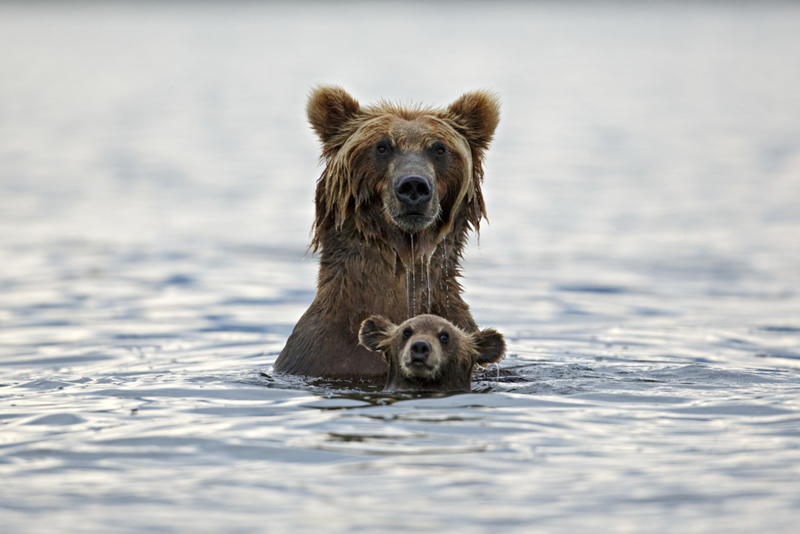Swim Class | Getty Images Photo by Marco Mattiussi
