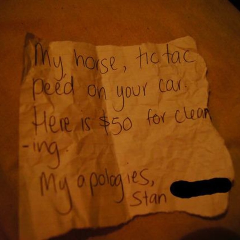 Funniest Notes People Have Written to Complete Strangers – Herald Weekly