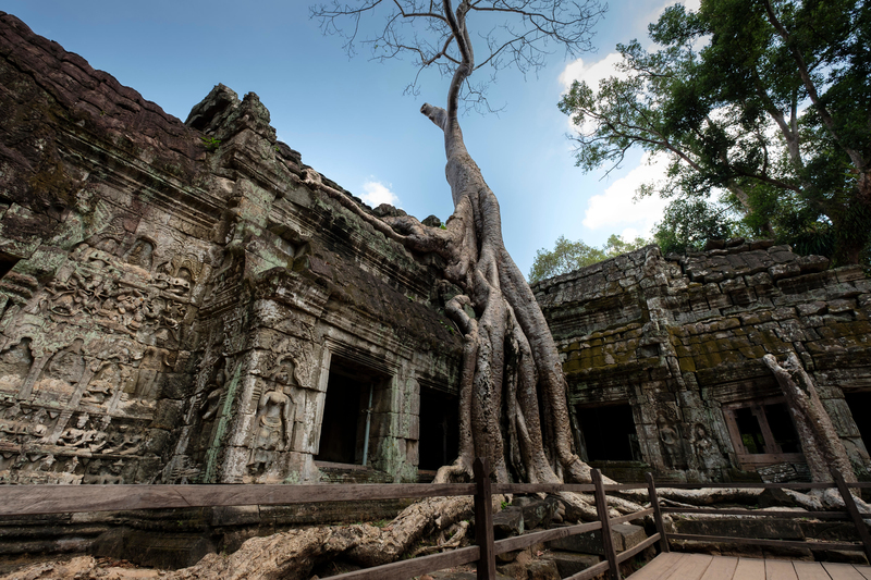 The Ta Prohm Temple in Cambodia | Alamy Stock Photo