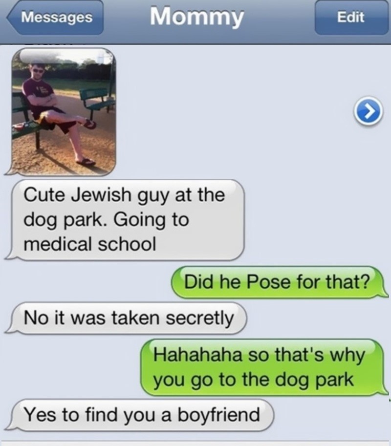 Matchmaker in the Dog Park | Imgur.com/projectgami