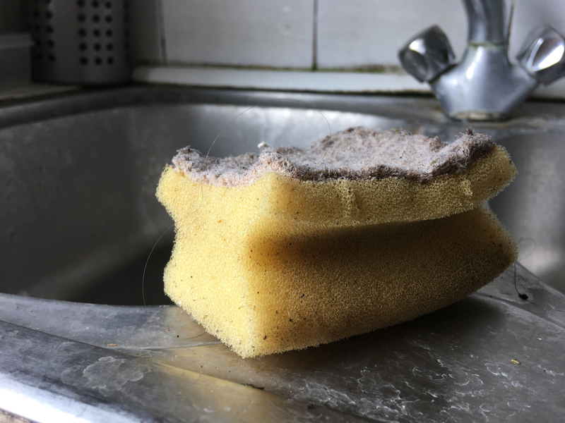 Using a Dirty Sponge | Shutterstock