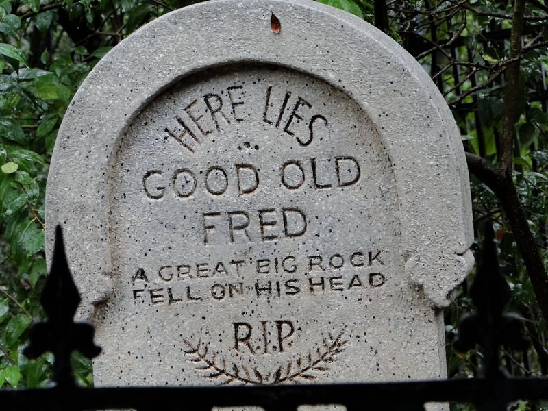 El bueno y querido Fred | 