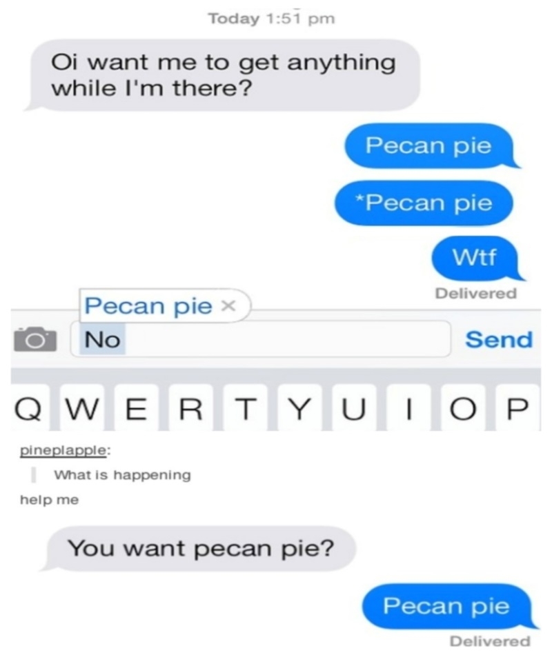 Pecan Pie Means Pecan Pie | Imgur.com/LR9k4Np