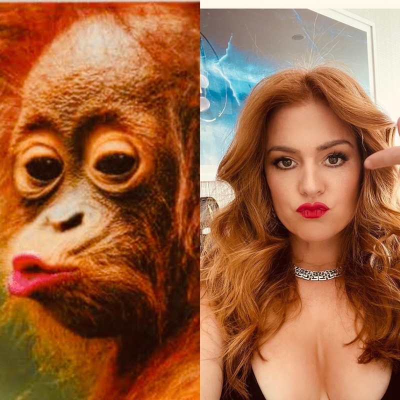 Isla Fisher Confuses Species with her Duck Face | Instagram/@islafisher