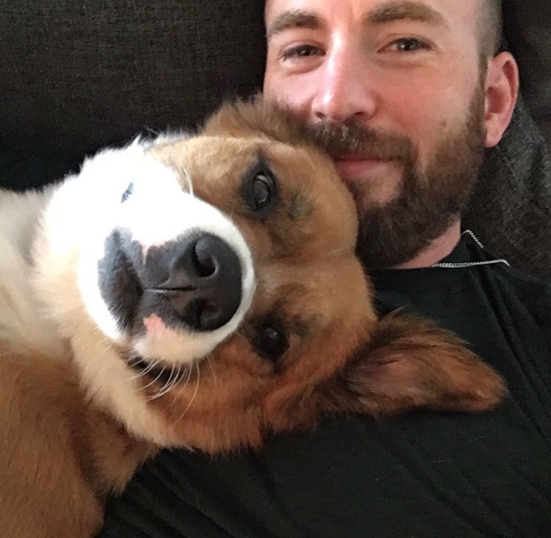 Chris Evans’ Canine Compassion | Instagram/@chrisevans
