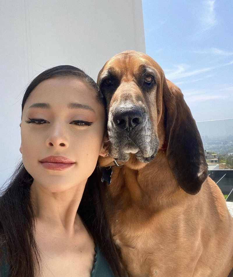 Dogs for Days | Instagram/@arianagrande