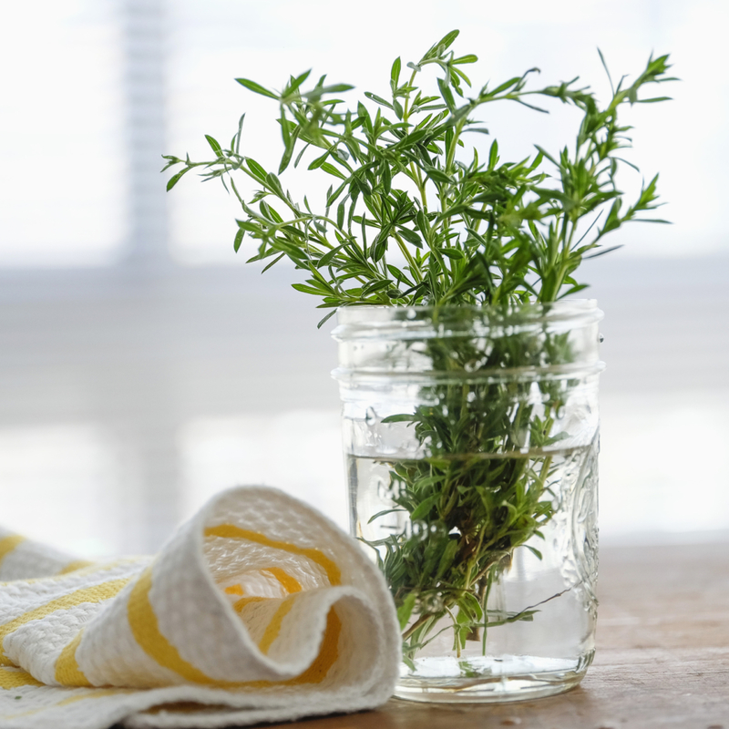 Keep Fresh Herbs Fresh | Getty Images Photo by Tetra Images
