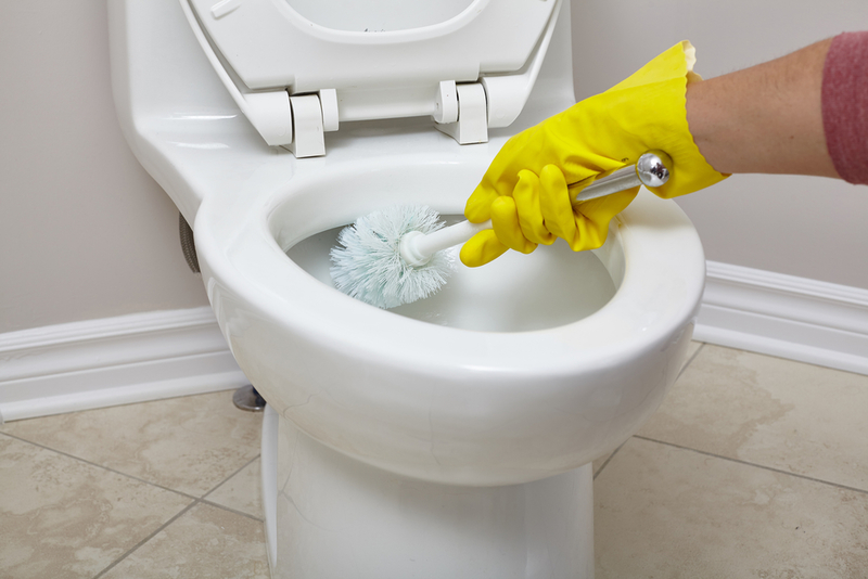 Get Your Toilet Cleaner | Shutterstock