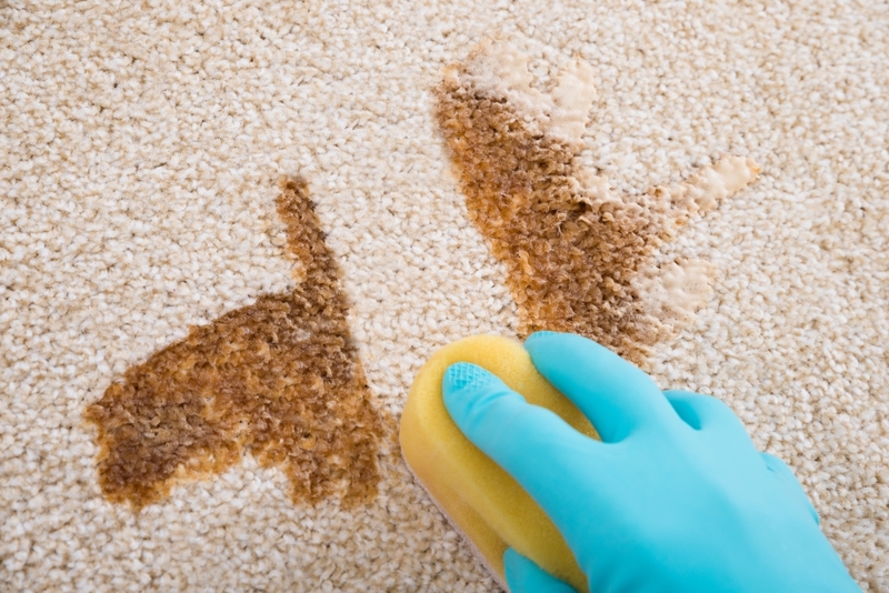 Wash Away Marker Stains | Shutterstock