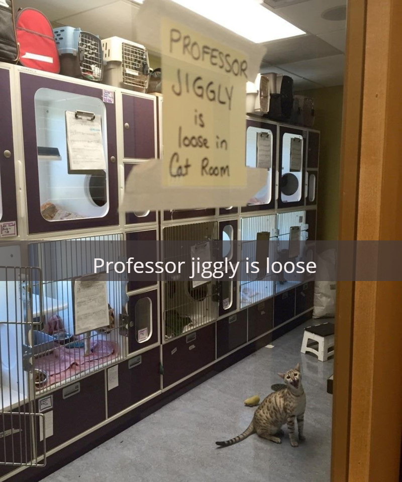 Do NOT Let Professor Jiggly Out | Imgur.com/jeffreybaratheon