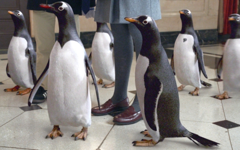 Actual Live Penguins | Alamy Stock Photo by Archives du 7e Art/20th Century Fox/Photo 12