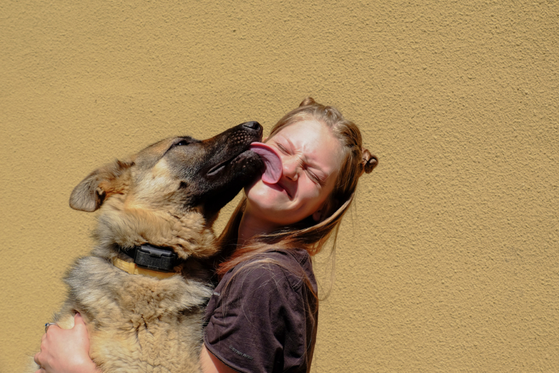 Licking People | Shutterstock