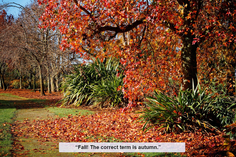 Fall | Alamy Stock Photo