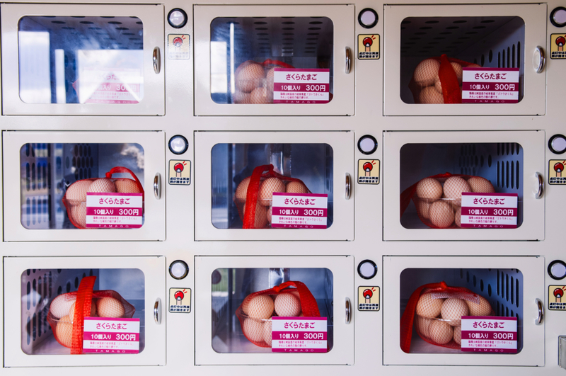 Eggs | Shutterstock