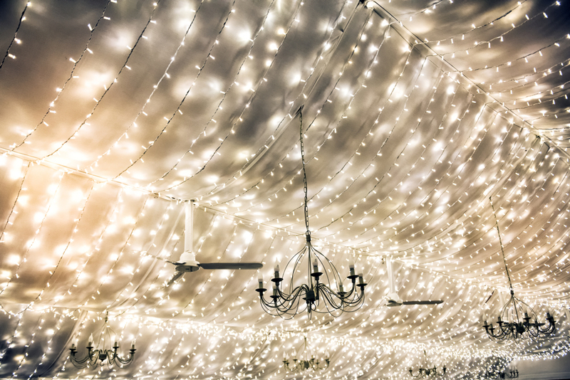 Strand Upon Strand of Twinkle Lights | Shutterstock