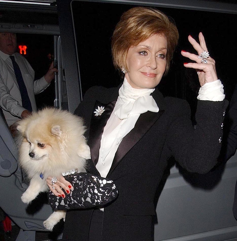 The Pets Drive Ozzy Mad | Getty Images Photo by David Westing/WireImage