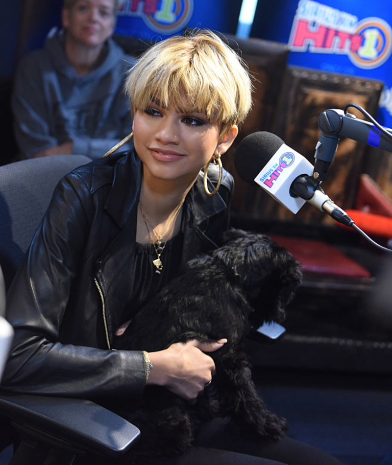 Her Dog Has Its Own Instagram Account | Getty Images Photo by Vivien Killilea/SiriusXM