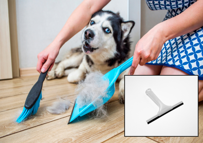 Clean Up Pet Hair With More Ease | Shutterstock Photo by Andrii Spy_k & macro videography