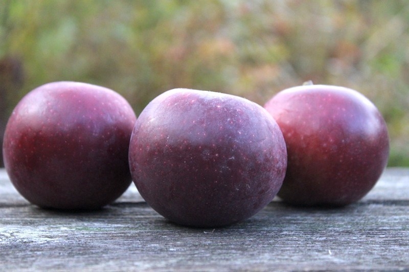 The Rare and Delicious Black Apples from Arkansas | 