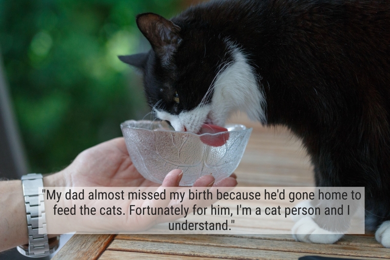 Cat Dad | Alamy Stock Photo
