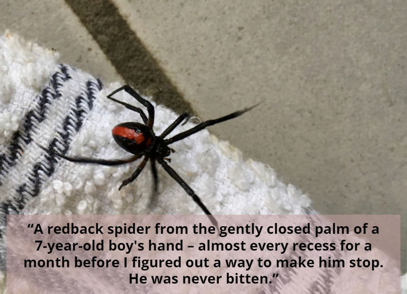  He Is the Spider Whisperer | Shutterstock