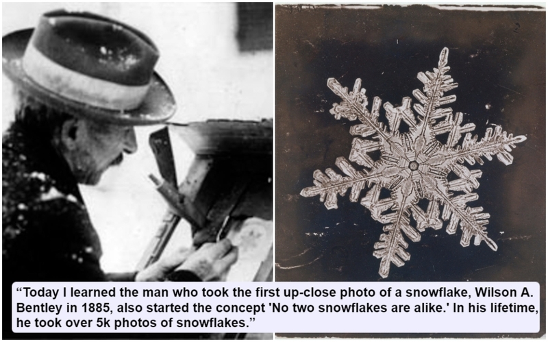 Close-up Photos of Winter | Alamy Stock Photo